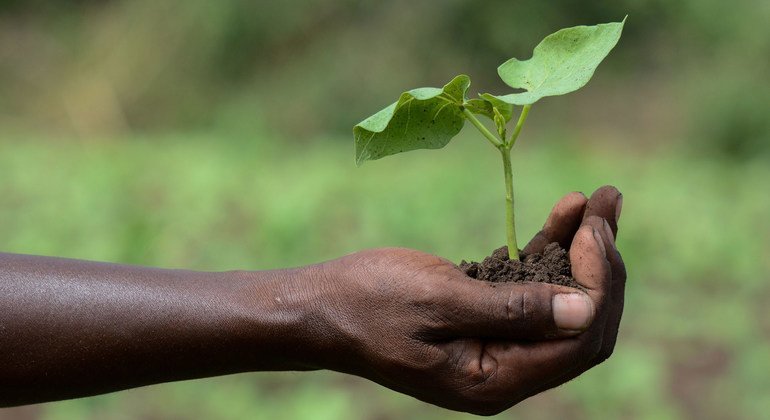 Slight decrease in global hunger as inequalities widen, UN report reveals